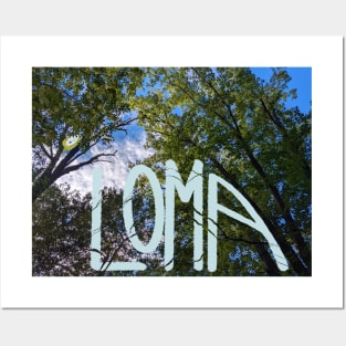 Loma Band Fan Posters and Art